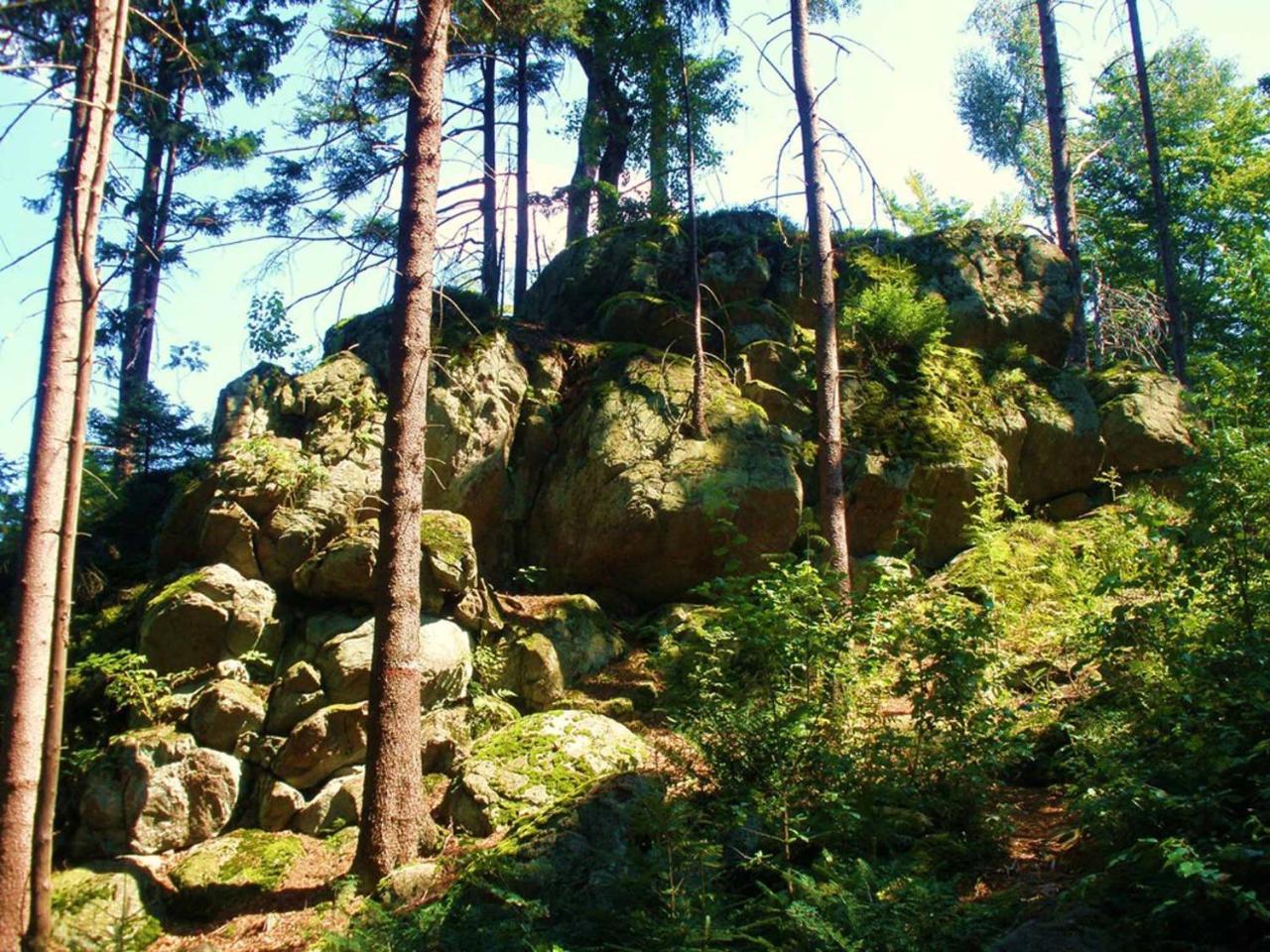 Ferienwohnungen Waldblick Waldmünchen Eksteriør bilde