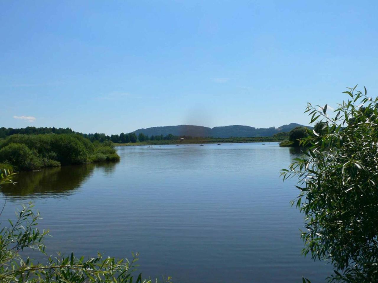 Ferienwohnungen Waldblick Waldmünchen Eksteriør bilde