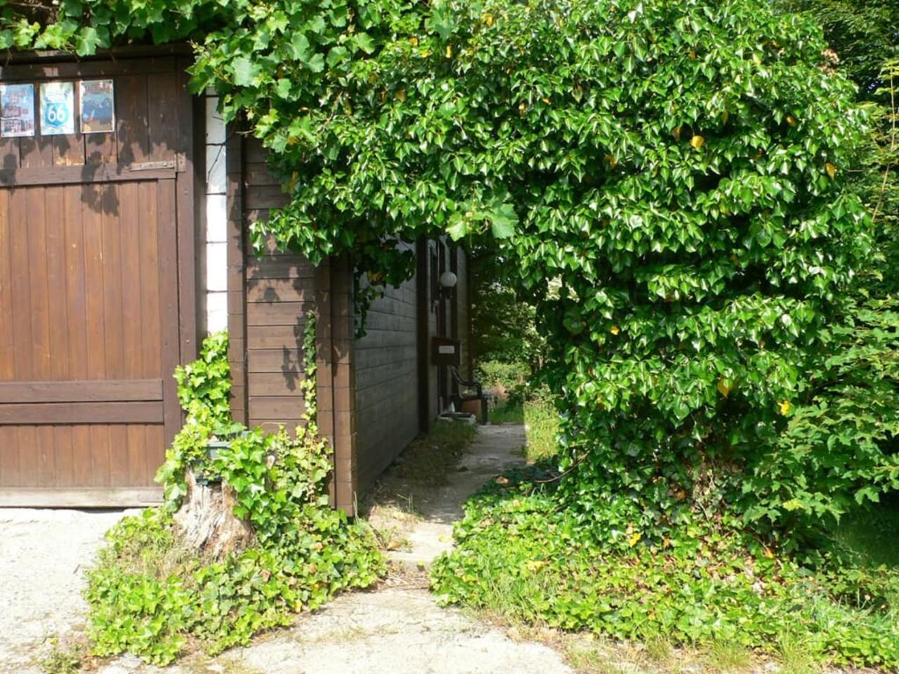 Ferienwohnungen Waldblick Waldmünchen Eksteriør bilde