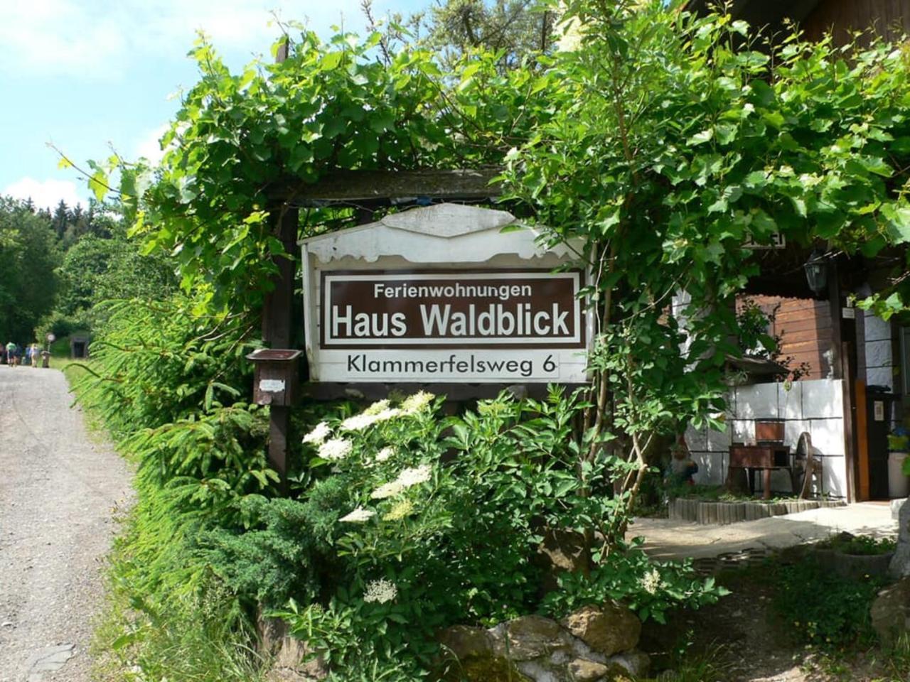 Ferienwohnungen Waldblick Waldmünchen Eksteriør bilde